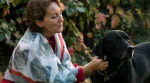 foulard photo chien labrador