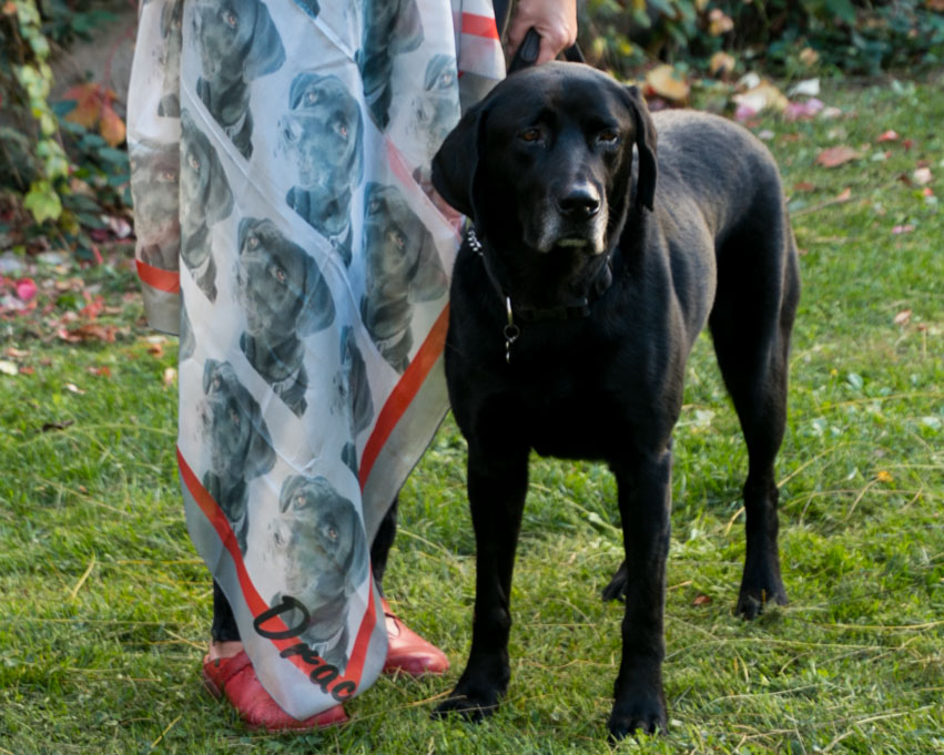 foulard personnalisé avec photo chien labrador